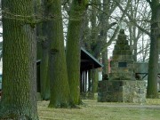In Dannenreich